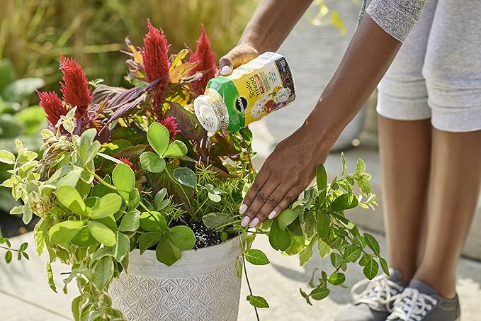 Miracle-Gro Shake 'N Feed All Purpose Plant Food, Plant Fertilizer, 1 lb. (6-Pack)