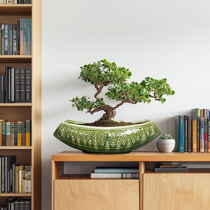 Teagas Bonsai Planter 18 Inch - Large Ceramic Succulent Pots with Drainage Hole, Bonsai Pots for Indoor Outdoor Plant, Ceramic Flower Pot, Decorative Plant Pot, Garden Decor, Housewarming Gift, Green