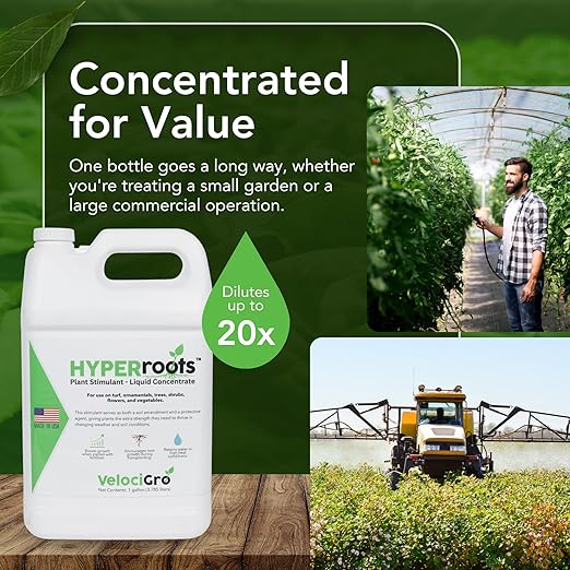 Liquid Concentrate Root Stimulator for Plants, 1 Gallon, Plant Growth for Greenhouses and Farms, Maxicrop Enhancer for Trees, Boosts Vitality, Resilience, and Growth