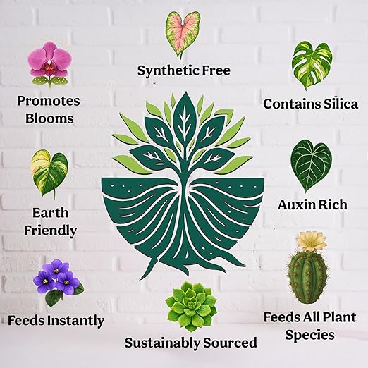 Grow Queen Organic Liquid Indoor Plant Food, Houseplant, Tropical & All-Purpose Indoor Plant Fertilizer, Organic Liquid Fertilizer 5-5-5 with Sea Kelp, 16oz Treats 110 Gallons
