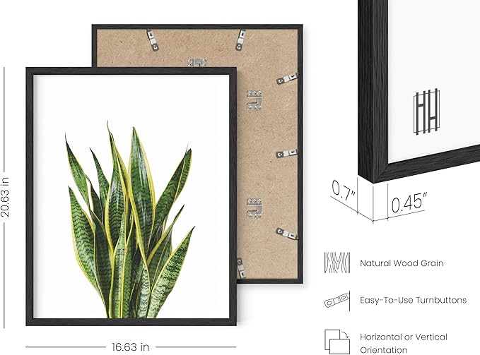 HAUS AND HUES Plant Wall Art - Set of 4 Green Plant Pictures Collection, Botanical Prints, Sage Green Leaves Paintings, Minimalist Wall Décor (16x20, Black Frame)