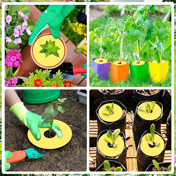 Mysora 24 Pcs Fruit Fly Traps Fungus Gnat Sticky Traps Yellow Round Ring for Pot Plants Indoor Outdoor Mosquito Flying Insects (L)