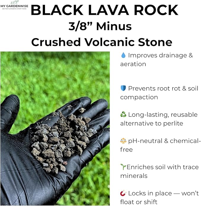 GARDENWISE Lava Rocks for Plants (3/8’’ Minus), Natural Black Lava Rocks, Succulent & Terrarium Horticultural Volcanic Rock, Drainage for Potted Plants, Made in USA (1 qt - 2 lbs)