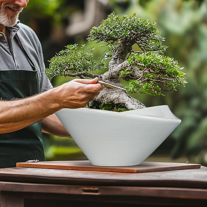 Teagas Bonsai Pots 13 Inch - Ceramic Succulent Pots with Drainage Hole Decorative Plant Pot Indoor Large Outdoor Planter Modern Flower Pot for Home Garden Office Room Decor Gray