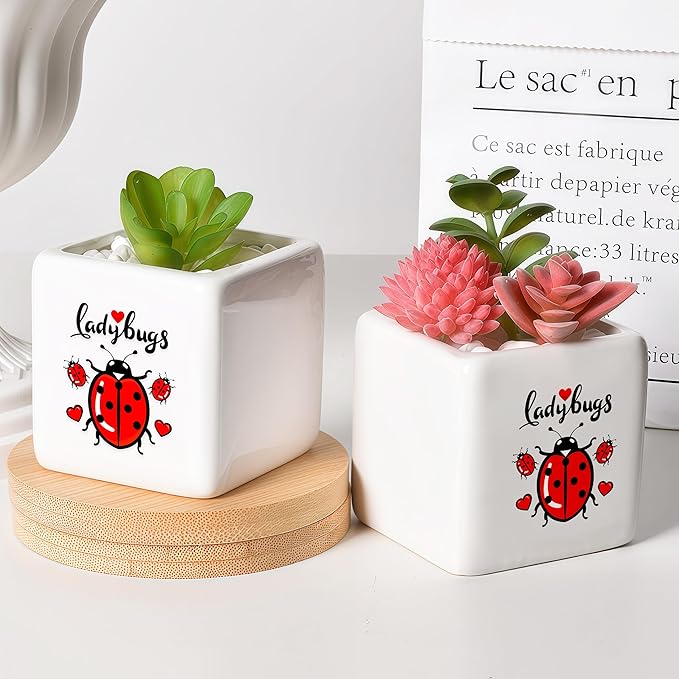 BJDAMAI Ladybugs Succulent Planter Flower Plant Pot Small, Gifts for Women Teens Girls Kids, Ladybugs Lovers Themed Stuff Accessories Things Decor Merch, Home Office Table Desk Decoration!