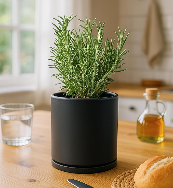 D'vine Dev Double-Layer Planter Set – Rotating Plastic Cachepot with Clear Inner Liner for Root Health, Perfect for Indoor Plants, 4.5", Black, 73-U-B-1