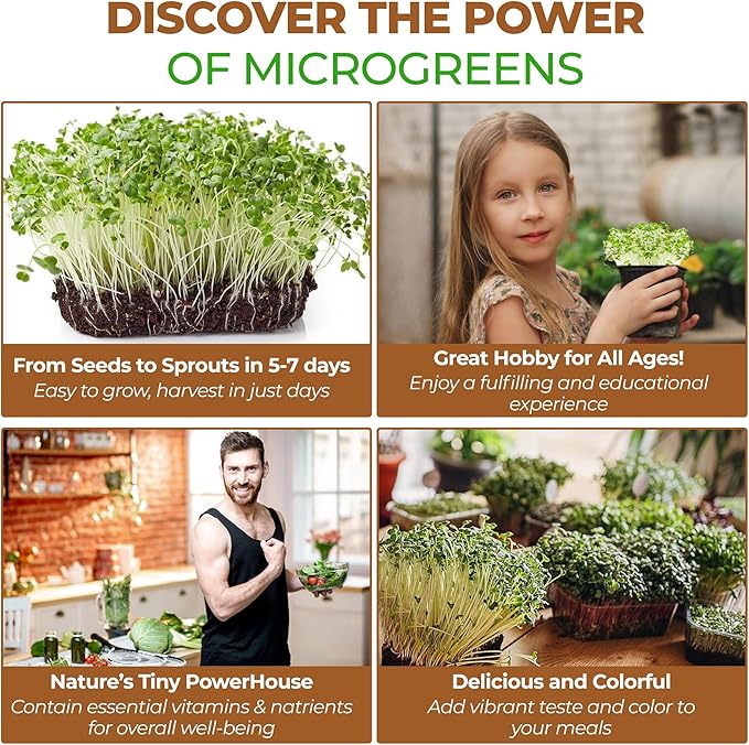 Todd’s Seeds - Premium 100% Chemical Free Alfalfa Sprouting Seeds - Easy to Grow Perfect Bulk Alfalfa Sprouts - Fast Growing with High Germination (1/4 Pound) USA Made