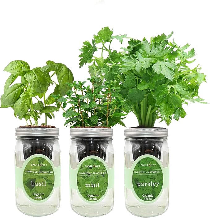 Environet Hydroponic Herb Growing Kit Set, Self-Watering Mason Jar Herb Garden Starter Kit Indoor, Windowsill Herbs Garden, Grow Your Own Herbs from Organic Seeds (Basil, Mint, Parsley)