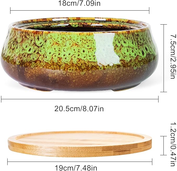 ARTKETTY Succulent Pots - 8 Inch Plant Pot, Large Bonsai Pots with Drainage Tray, Ceramic Planters for Indoor Outdoor Plants, Round Shallow Cactus Flower Plant Container Bowl Decorative Home Garden