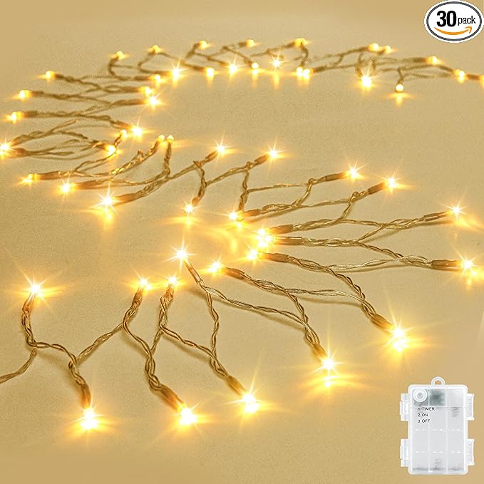 String Lights Outdoor Waterproof 9.8ft 30 LED, Warm White Fairy Lights Battery Operated with Timer Clear Wire for Indoor & Outdoor Decorations Garland Party Garden
