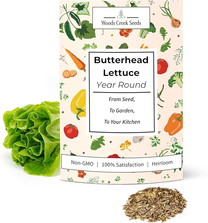 All Year Round Butterhead Lettuce Seeds for Planting - Over 2,700 Heirloom Non-GMO Seed Pack for Indoors & Outdoors - Beginner-Friendly Green Leaf Lettuce Seed | Woods Creek Seeds