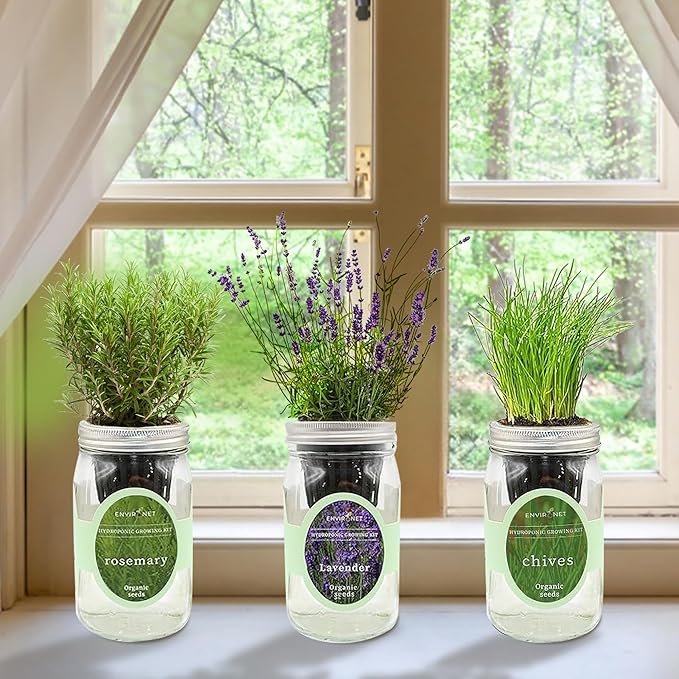 Environet Hydroponic Herb Growing Kit Set, Self-Watering Mason Jar Herb Garden Starter Kit Indoor, Grow Your Own Herbs from Seeds (Lavender, Rosemary & Chives)