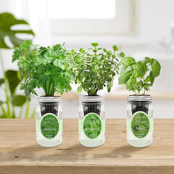 Environet Hydroponic Herb Growing Kit Set, Self-Watering Mason Jar Herb Garden Starter Kit Indoor, Window Herbs Garden, Grow Your Own Plants from Organic Seeds (Basil, Parsley and Oregano)