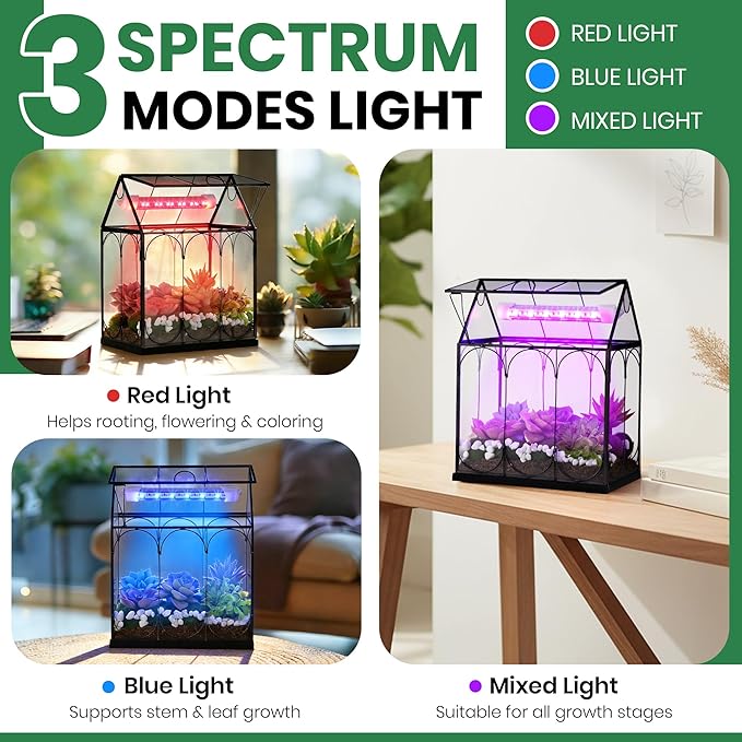 Meonum Tiny Glass Terrarium Kit with Grow Light, 7.1 x 4.7 x 8.7 Venus Fly Trap Terrarium with Absorbent Mat, Timer&3 Light Modes for Succulent Live Air Plants Indoor Home Office Decor (USB Powered)