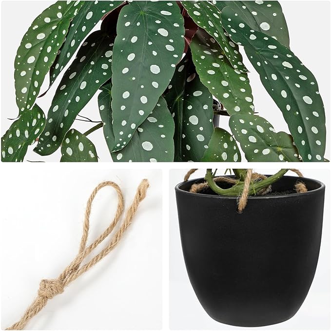 Fake Hanging Plant in Black Pot Artificial Syngonium Podophyllum Plant Faux Greenery Leaves for Wall Bedroom Office Desk Bathroom Indoor Outdoor Home Deco