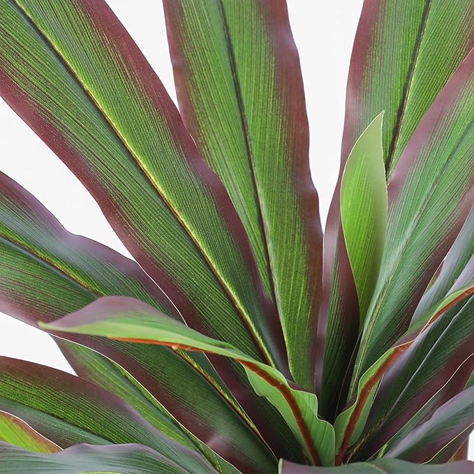 FLOWORLD Dracaena Artificial Plant 4ft Red Yucca Silk Tree Faux Plants Indoor Tall Fake House Floor Plants Realistic Artificial Trees for Home Office Decor Indoor Outdoor Housewarming Gift