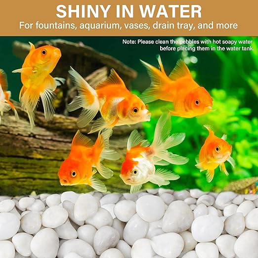 NUPICK 3lb White River Rocks for Plants Indoor, 1-2Inch Pebbles for Vases Fillers, Decorative Gravel for Fish Tank, Natural Polished Stones for Succulent, Bonsai, Landscaping, Bird Baths
