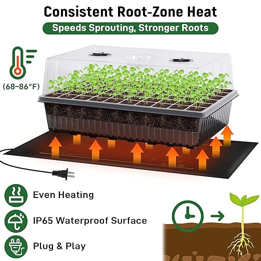 DazSpirit 60-Cell Self-Watering Seed Starter Kit with Grow Light and Heat Mat, Seedling Tray with Humidity Dome, Indoor Plant Germination Tray for Beginners - Grow Tomatoes, Peppers, Herbs & Flowers