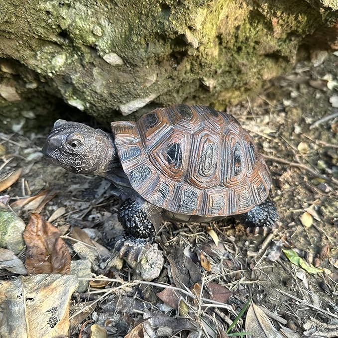 Danmu Polyresin Tortoise Statue - Outdoor Statue, Garden Ornament for Home and Fairy Garden Decor (5.1" x 4.3" x 2.3")