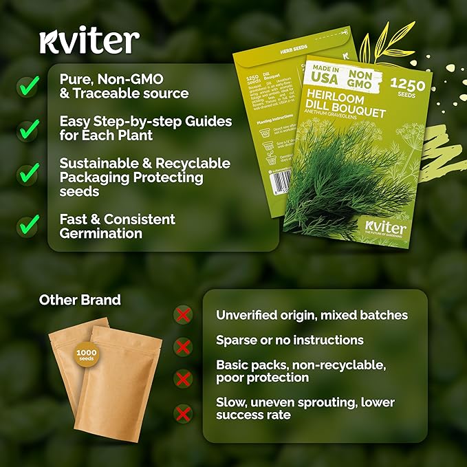 KVITER 1250 Dill Seeds for Planting (Anethum graveolens) - Bouquet Dill, Early Flowering, Strong Aroma, Non Gmo Seed Packets - Heirloom Herb Seeds for Outdoor & Indoor Garden, Raised Beds & Containers