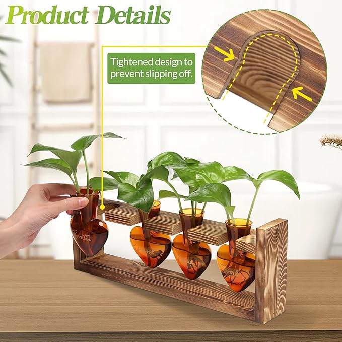 CYZglass Plants Propagation Stations Plant Terrarium Kit for Bathroom Glass Planters for Indoor Plants Bathroom Decor Accessories - Relax Soak Unwind Breathe