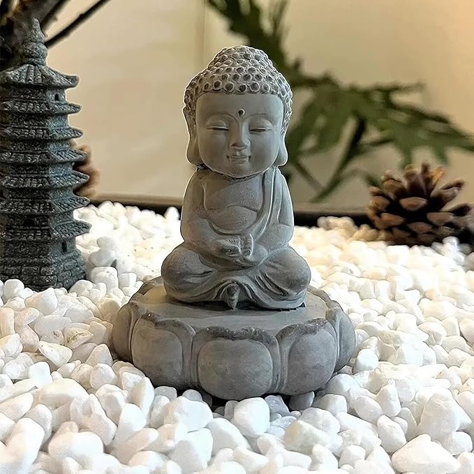 FANTIAN 5 lbs White Pebbles for Indoor Plants, 0.5-1 Inch Pea Gravel Stones for Planters, Decorative River Rocks for Succulent, Cactus, Vases, Aquariums, Crafting and Garden Landscaping