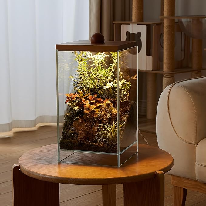 13.7H+7.8W Desktop Glass Plant Terrarium with Light, Large Propagation Station for Succulent, Moss, Miniature Gardening Landscape, Betta Fish Tank