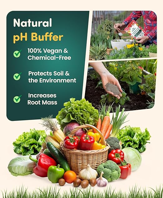 ByFlower Water-Soluble for Plant 1 lb - Organic Fertilizer Enhances Soil Quality for Thriving Plants - Vegan, Garden Fertilizer Supports Healthy Growth