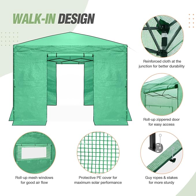 EAGLE PEAK Instant Pop-up Greenhouse, Indoor Outdoor Plant Gardening Green House, Roll-Up Zipper Doors and Side Windows, Walk in 10x10 ft, Green/Clear