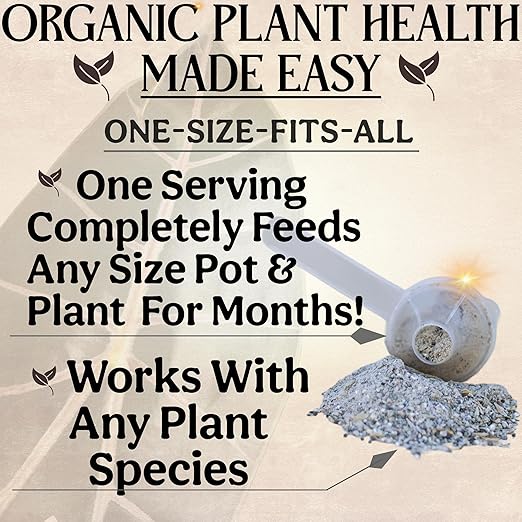Grow Queen The All-in-One Complete Organic Plant Food, Indoor Plant Food for Houseplants, Organic Fertilizer for Vegetable Gardens, 3lb =75 Formulated Servings Feeds 150 gal Instantly and Slow Release