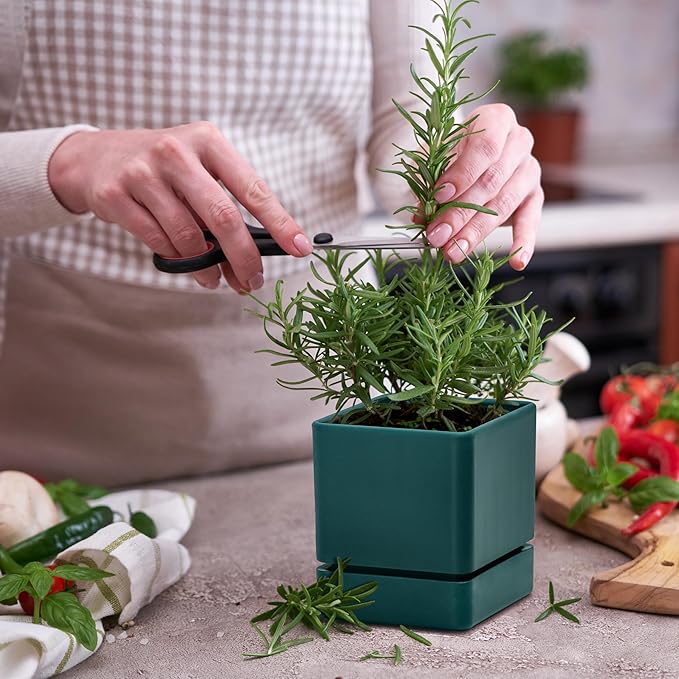 D'vine Dev 4 Inch Herb Planter Pot, Plastic Planter with Drainage Holes and Saucer, Modern Decorative Gardening Pot for Indoor Plants, Flowers, Herbs, Succulents, Green, Set of 2, 76-Y-C-2