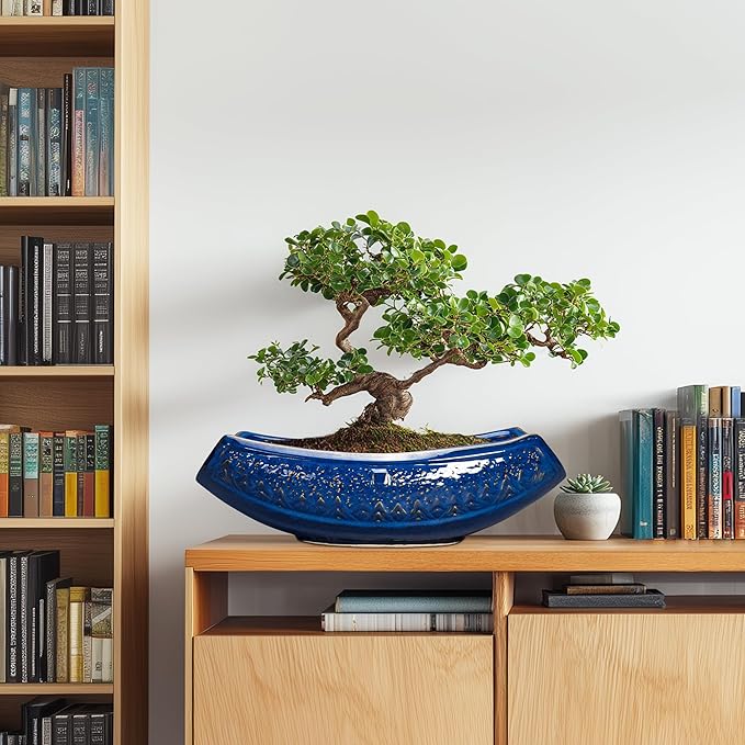 Teagas Bonsai Pots - 18 Inch Large Ceramic Succulent Pots for Indoor Outdoor, Bonsai Planter with Drainage Hole, Ceramic Flower Pot, Decorative Plant Pot, Gifts for Plant Lovers, Office Decor, Blue