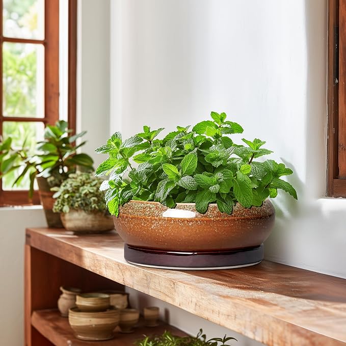 EPFamily Bonsai Pots - 10 Inch Ceramic Succulent Pots with Drainage Hole and Saucer, Bonsai Planter for Indoor Outdoor, Large Shallow Planter Bowl, Office Decor, Gifts for Plant Lovers, Retro Brown
