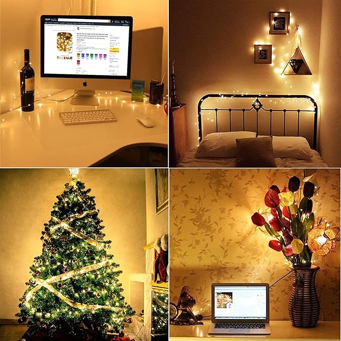 RUICHEN Silver Wire 66 Ft 200 LED USB Fairy String Lights with On/Off Switch (Warm White)