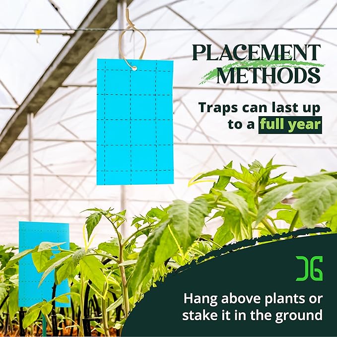 Catchmaster GRO Blue Regular Double Sided Sticky Traps 72PK, Adhesive Bug & Fruit Fly Trap, Pest Control for Home, Farm, Garden, Hydroponics & Greenhouse, Protect Live Plants Indoor & Outdoor