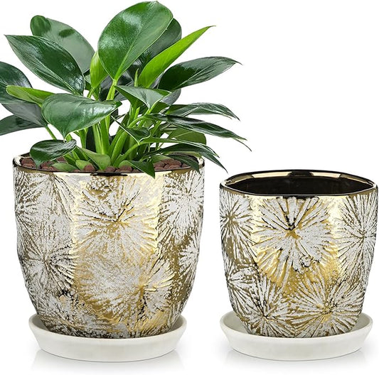 Oairse 6 +5 inch Ceramic Planter Pots Set of 2 Small Round Flower Pots with Drainage Hole and Ceramic Tray for Succulents Cactus Indoor Outdoor Garden Home Windowsill