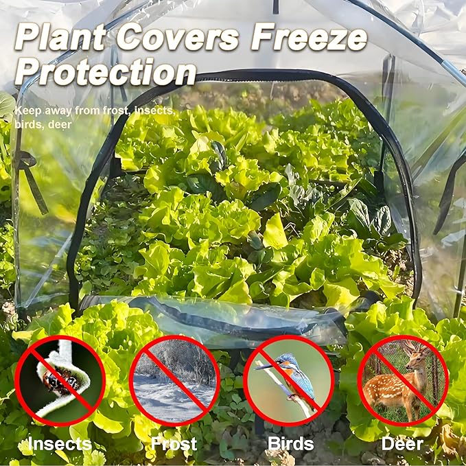 24.5″ *24.5″ *20.5″, Mini Greenhouse Winter Plant Warm Covers - Raised Bed Cover for Seed Starting, Warm Tent Freeze Protection Humidity Domes for Gardening & Winter Shelter and Protecting Plants 2pcs