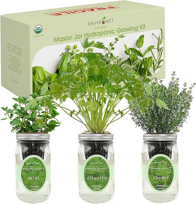 Environet Hydroponic Growing Kit Set, Self-Watering Mason Jar Herb Garden Starter Kit Indoor, Window Herb Garden, Grow Your Own Herbs from Organic Seeds (Mint, Cilantro and Thyme)