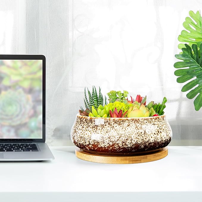 ARTKETTY Succulent Pots - 8 Inch Plant Pot, Large Bonsai Pots with Drainage Tray, Ceramic Planters for Indoor Outdoor Plants, Round Shallow Cactus Flower Plant Container Bowl Decorative Home Garden
