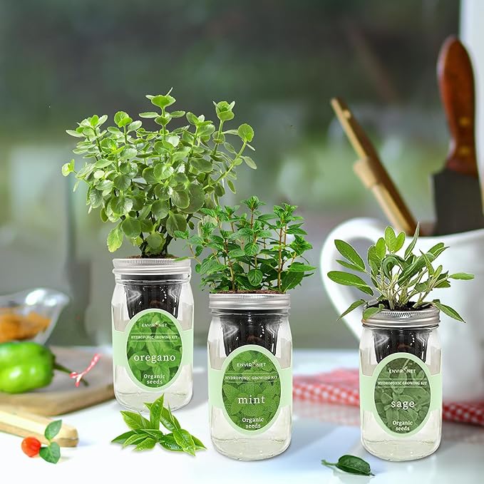 Environet Hydroponic Herb Growing Kit Set, Self-Watering Mason Jar Herb Garden Starter Kit Indoor, Windowsill Herbs Garden. Grow Your Own Herbs from Organic Seeds (Mint, Sage, Oregano)
