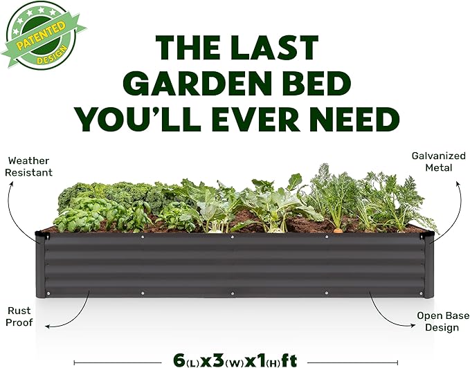 Plant & Plot Galvanized Raised Garden Beds Outdoor // 6×3×1 ft Planter Raised Beds for Gardening, Vegetables, Flowers // Large Metal Garden Box // Patented Tool-Free Design (Dark Gray)