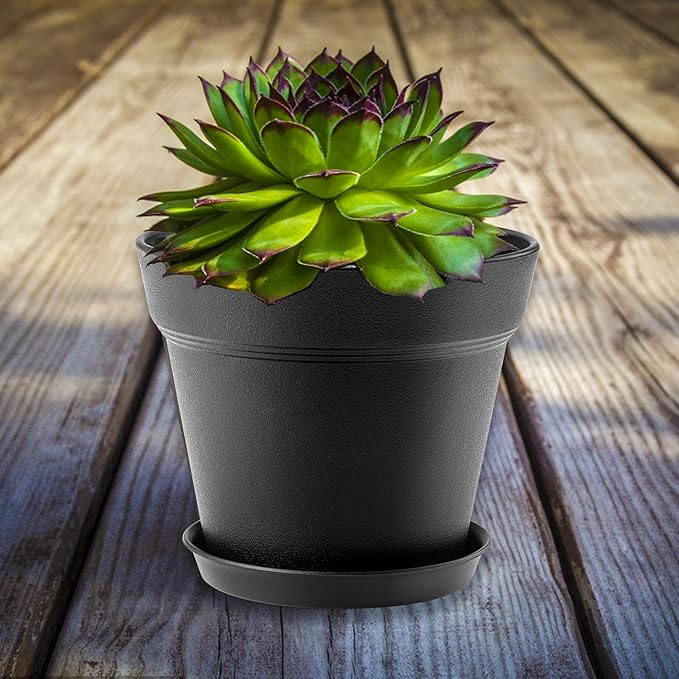 FHWTY 16 Pack Plastic Plant Pots with Drainage Holes and Tray, 4 inch Thickened Indoor Planters Seedlings Nursery Pots for Flowers, African Violet, Succulent and All House Plants, Black