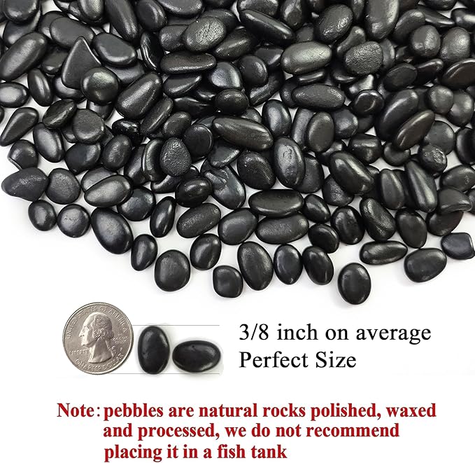 FANTIAN Black Pebbles for Indoor Plants, 3/8 inch Small Bag Stones, Decorative River Rocks for Succulent Potted Plant, Vase and Outdoor Landscaping Garden(16 oz)