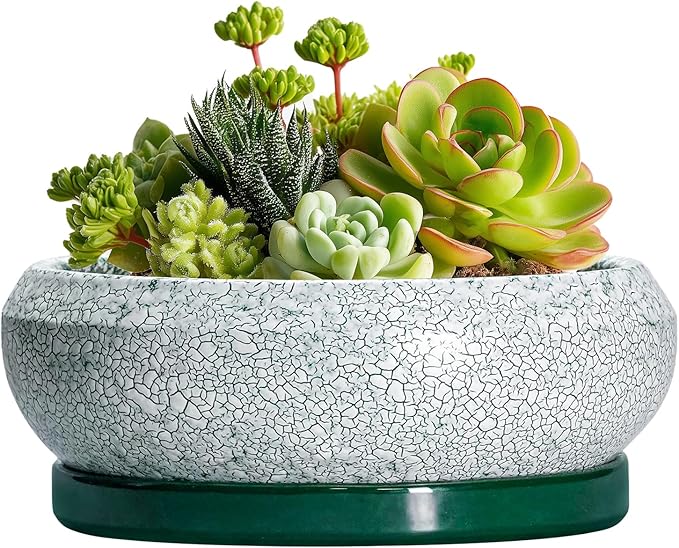 EPFamily Succulent Pots - 6 Inch Ceramic Pots for Succulent Indoor Outdoor, Small Plant Pot with Drainage Hole and Saucer, Bonsai Pot, Modern Round Planter, Window Decor, Housewarming Gifts, Green