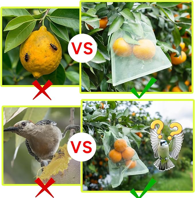 100PCS Fruit Protection Bags with Drawstring, 8x12 Inch Green Organza Produce Bags for Fruit Trees, Mesh Netting for Garden Protection