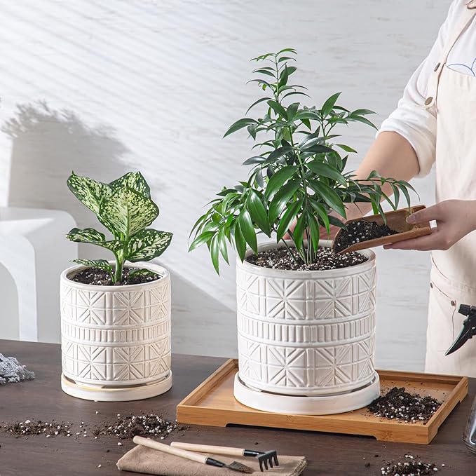 POITONRU Ceramic Plant Pots Indoor-Outdoor: 8 Inch Embossed Planters with Drainage Hole & Saucer - Modern Decorative Flower Pots for Home Garden Patio Office Decor