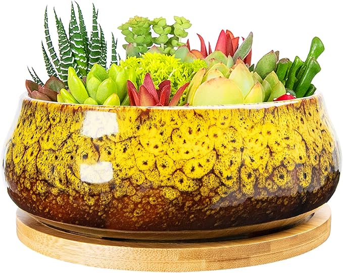 ARTKETTY Succulent Pots - 8 Inch Plant Pot, Large Bonsai Pots with Drainage Tray, Ceramic Planters for Indoor Outdoor Plants, Round Shallow Cactus Flower Plant Container Bowl Decorative Home Garden
