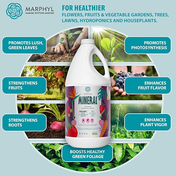 MARPHYL Organic Minerals Liquid Fertilizer, Rich Blend of Essential Minerals for Garden, Flowers, Vegetables, Succulents, Bamboo, Hydroponics 33.8 oz