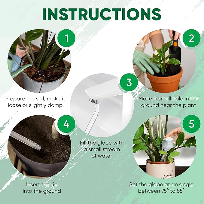Mission Gallery Clear Plant Watering Globes Set of 6 - Small Self Watering Globes for Indoor & Outdoor Plants - Automatic, Glass Watering Bulbs for Daily Use, Plant Watering Devices