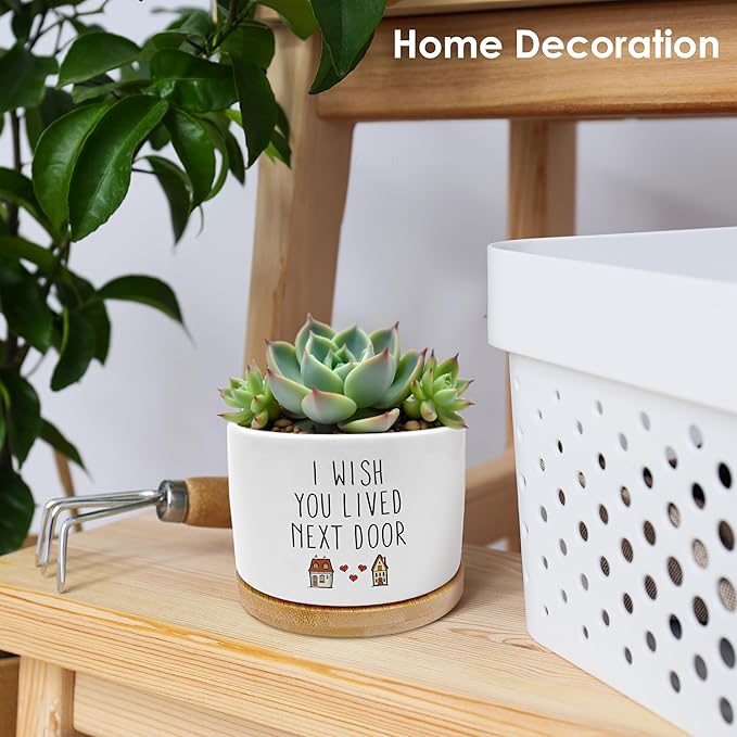 ROXMART Friendship Gifts for Women Plant Pots, Birthday Gifts for Best Friend Succulent Planters, I Wish You Lived Next Door Ceramic Plant Flower Pots for Home Office Desk Table Shelf(No Plants)